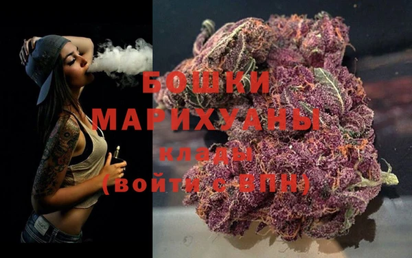 крисы Верея