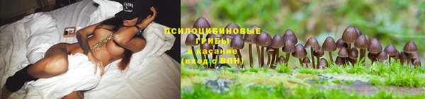 хмурый Снежногорск