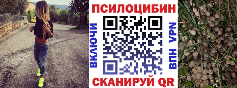 Псилоцибиновые грибы GOLDEN TEACHER Самара